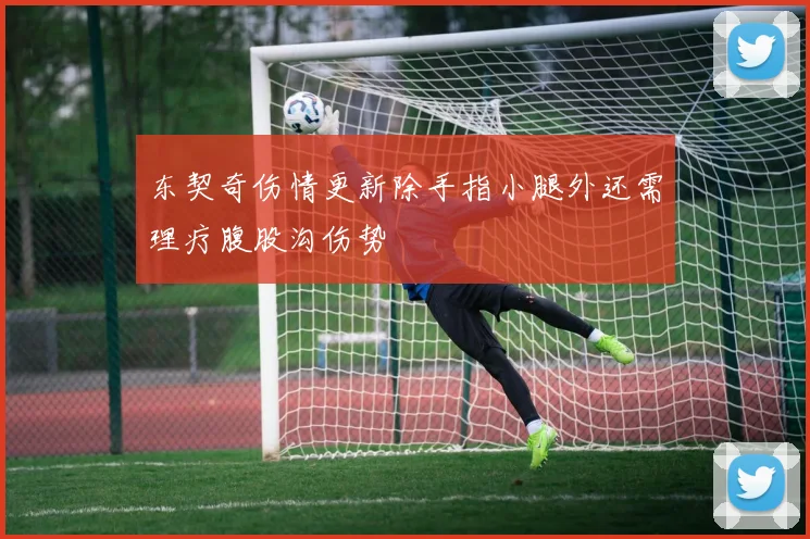 东契奇伤情更新除手指小腿外还需理疗腹股沟伤势