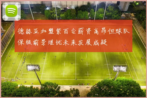 德赫亚加盟紫百合薪资高昂但球队保级前景堪忧未来发展成疑